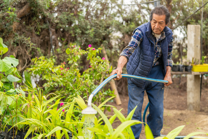 Social Security in Mexico